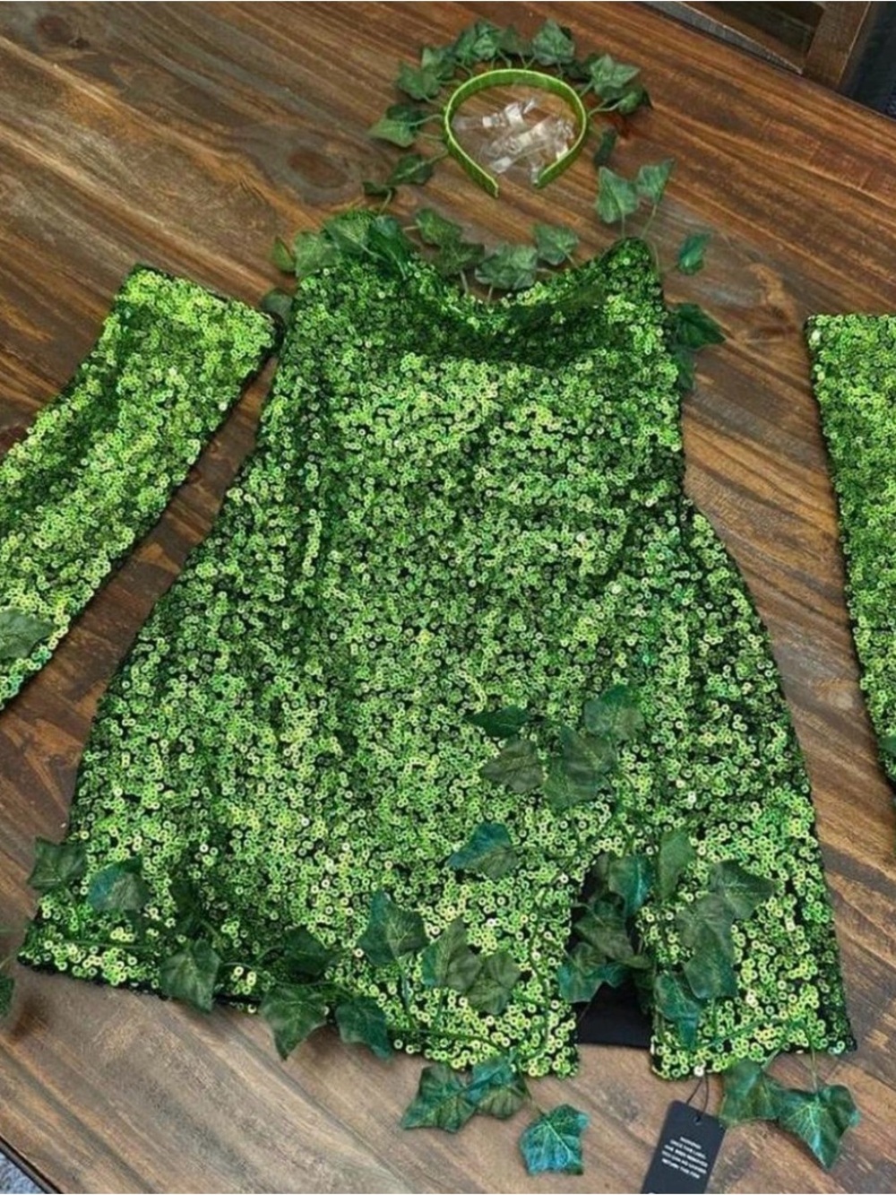Poison Ivy Costume View 2